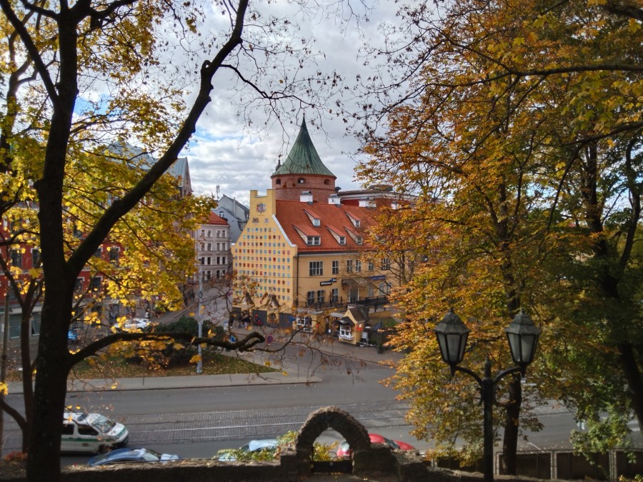 https://ic.pics.livejournal.com/cosmomarmots/76512026/1152892/1152892_900.jpg