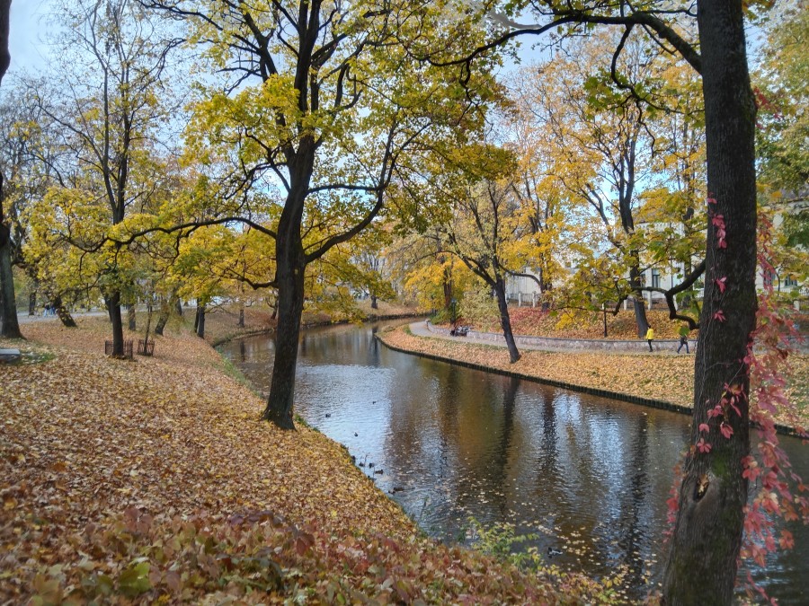 https://ic.pics.livejournal.com/cosmomarmots/76512026/1153027/1153027_900.jpg