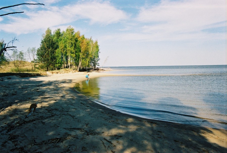 https://ic.pics.livejournal.com/cosmomarmots/76512026/40377/40377_900.jpg