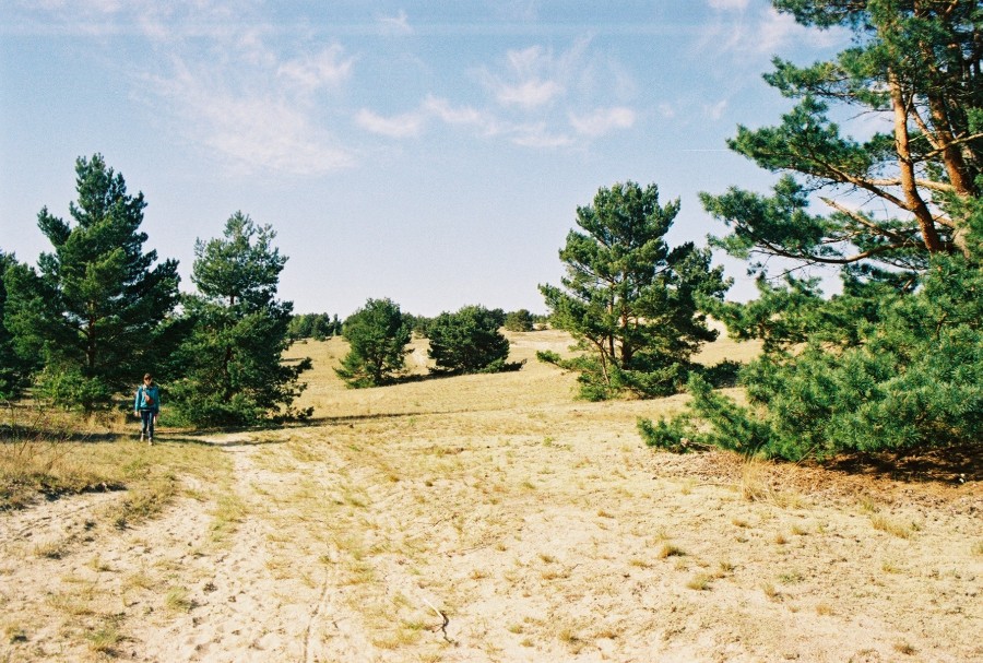 https://ic.pics.livejournal.com/cosmomarmots/76512026/41202/41202_900.jpg