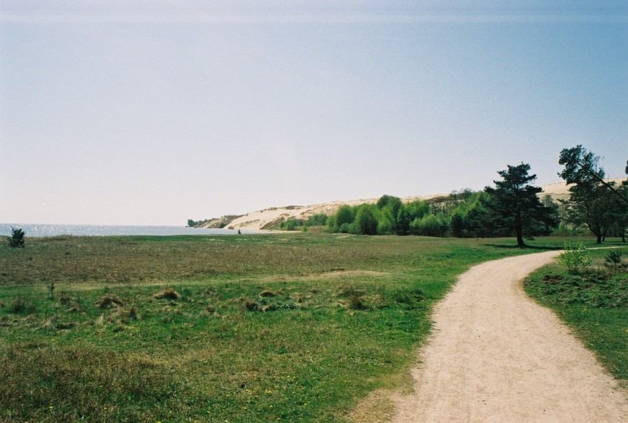 https://ic.pics.livejournal.com/cosmomarmots/76512026/42690/42690_900.jpg
