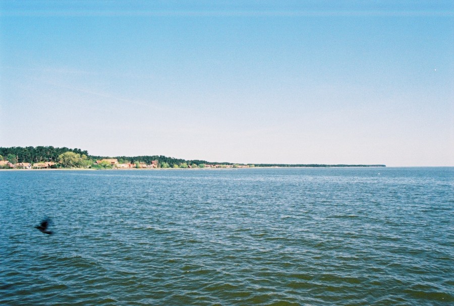 https://ic.pics.livejournal.com/cosmomarmots/76512026/43106/43106_900.jpg
