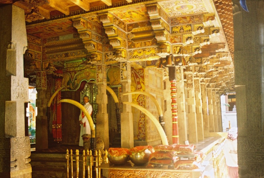 https://ic.pics.livejournal.com/cosmomarmots/76512026/18615/18615_900.jpg