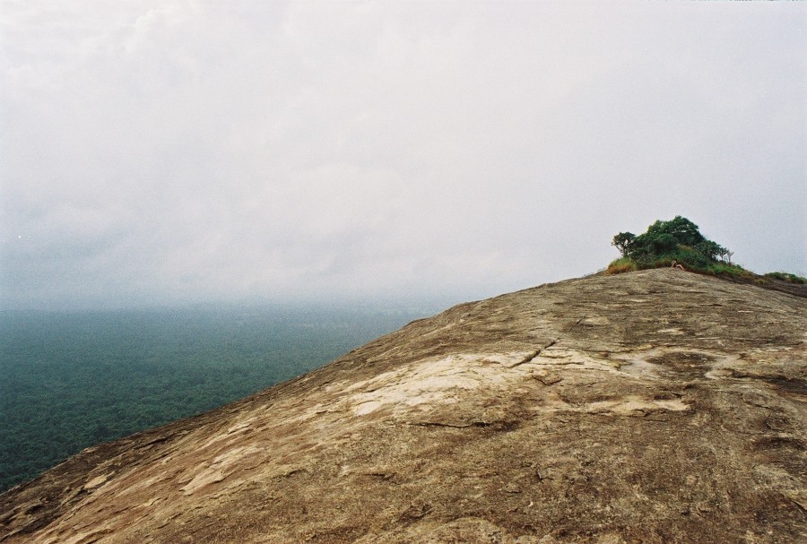 https://ic.pics.livejournal.com/cosmomarmots/76512026/20024/20024_900.jpg