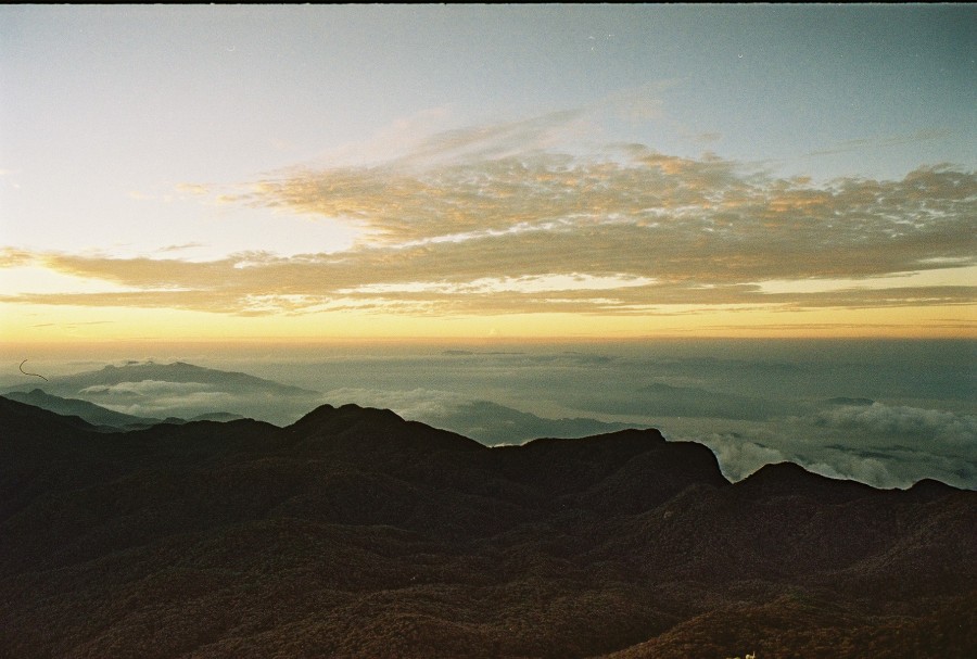 https://ic.pics.livejournal.com/cosmomarmots/76512026/24613/24613_900.jpg