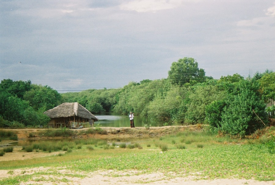 https://ic.pics.livejournal.com/cosmomarmots/76512026/27895/27895_900.jpg