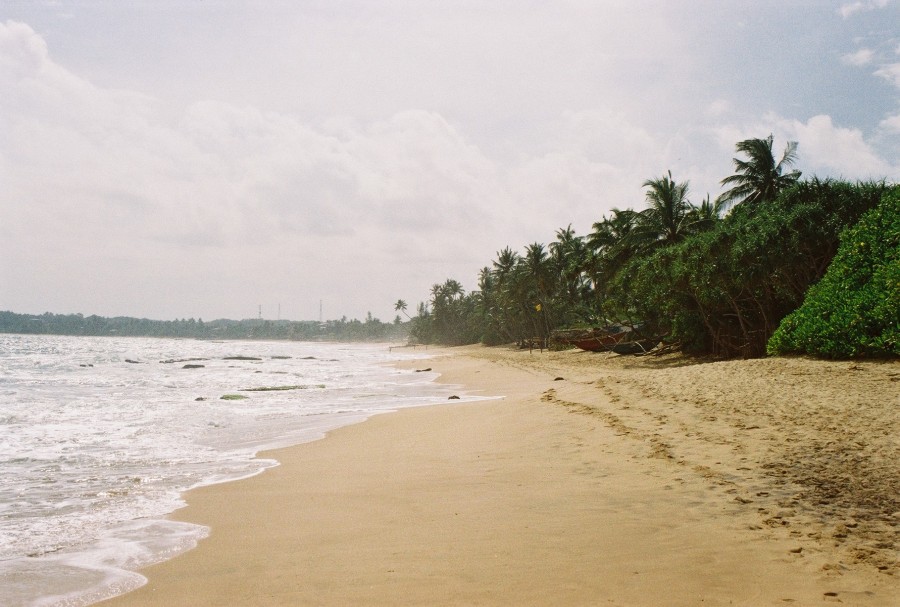 https://ic.pics.livejournal.com/cosmomarmots/76512026/27959/27959_900.jpg