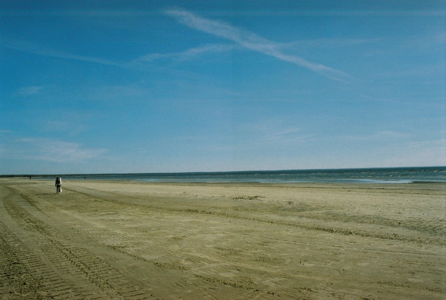 https://ic.pics.livejournal.com/cosmomarmots/76512026/34531/34531_900.jpg