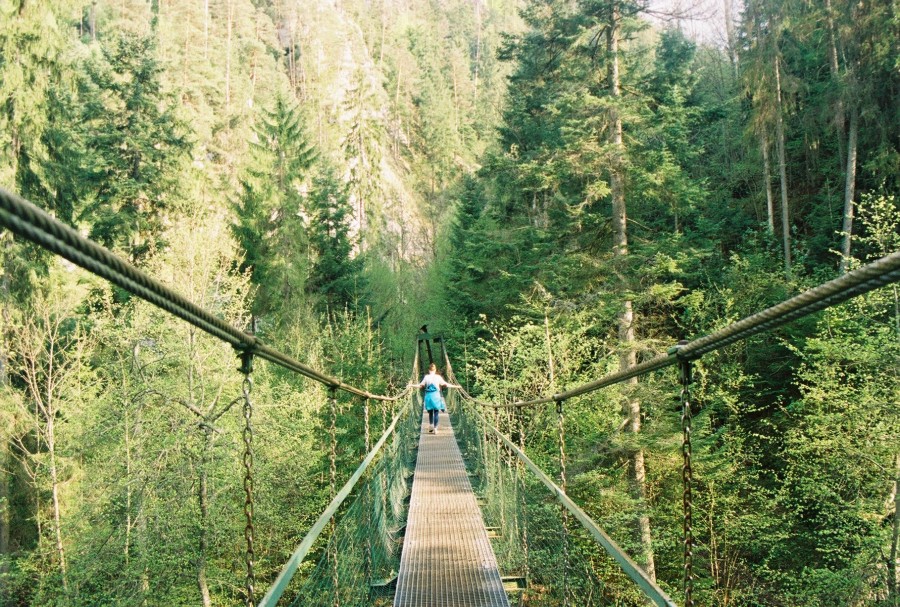 https://ic.pics.livejournal.com/cosmomarmots/76512026/116348/116348_900.jpg
