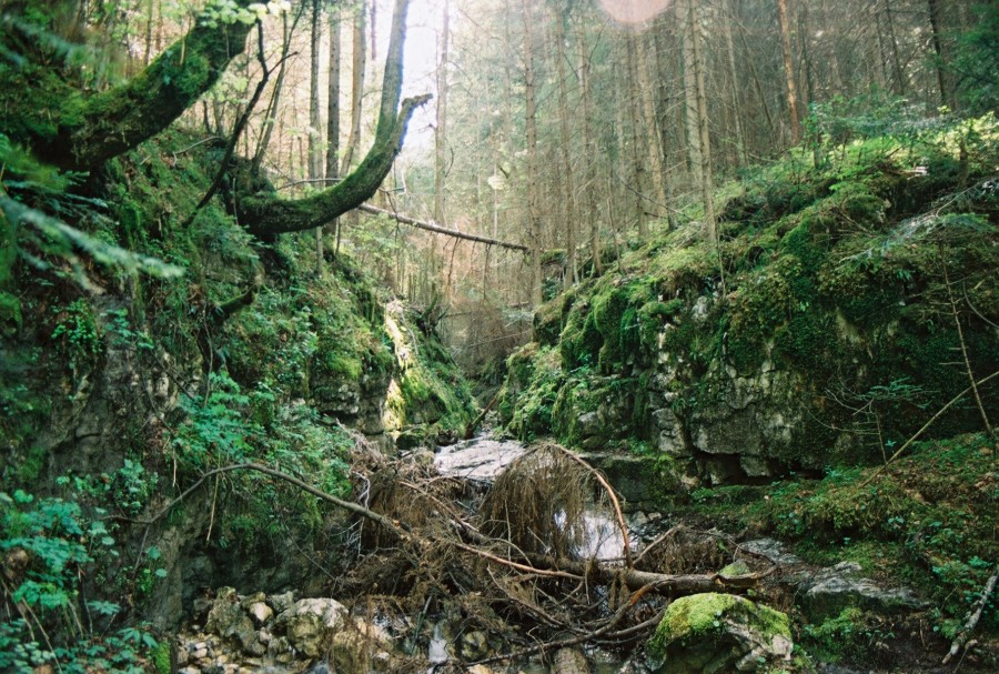 https://ic.pics.livejournal.com/cosmomarmots/76512026/116958/116958_900.jpg