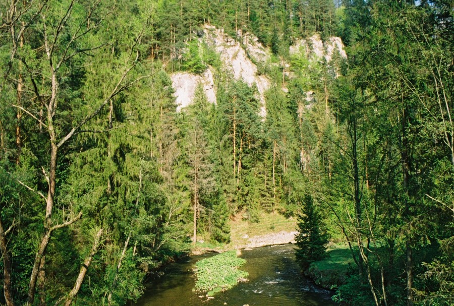 https://ic.pics.livejournal.com/cosmomarmots/76512026/117401/117401_900.jpg