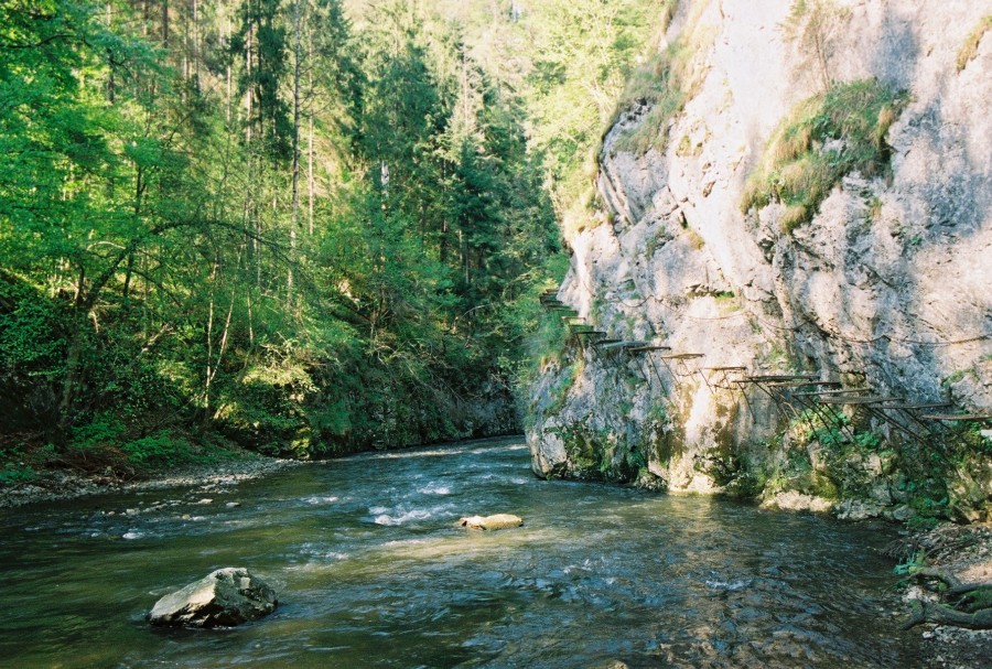 https://ic.pics.livejournal.com/cosmomarmots/76512026/117732/117732_900.jpg