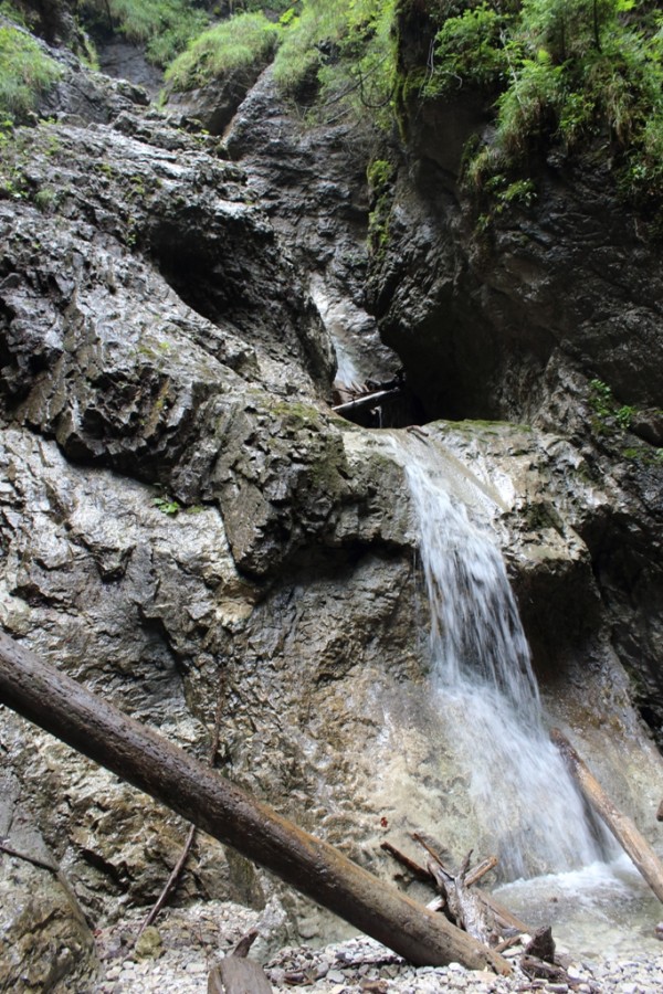 https://ic.pics.livejournal.com/cosmomarmots/76512026/490038/490038_900.jpg
