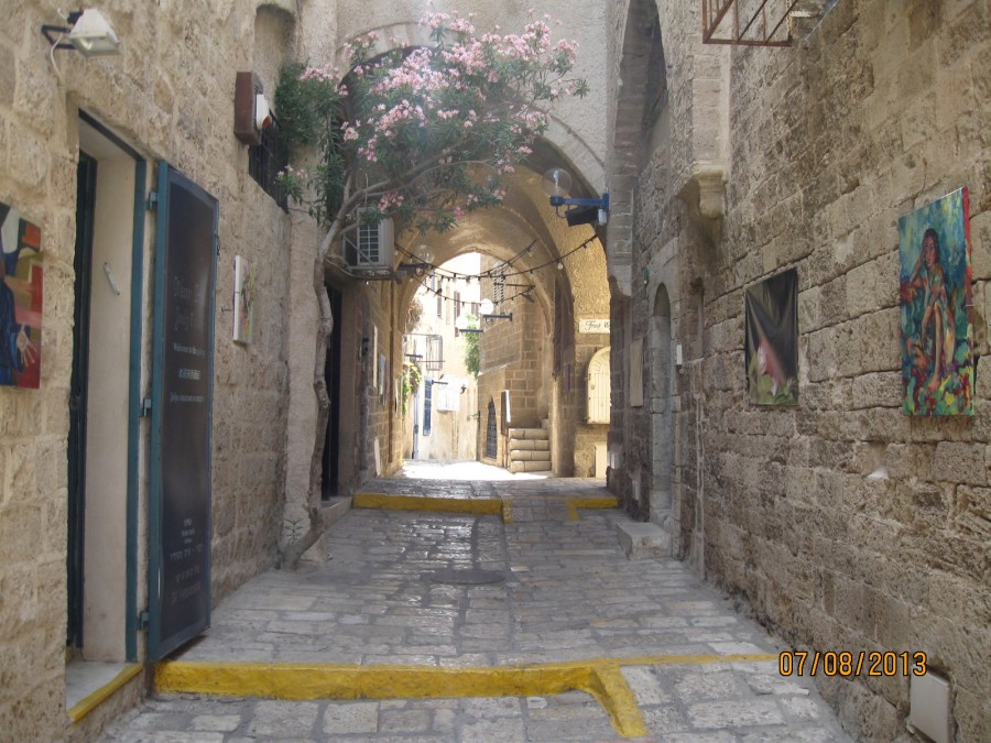 https://ic.pics.livejournal.com/cosmomarmots/76512026/190648/190648_900.jpg