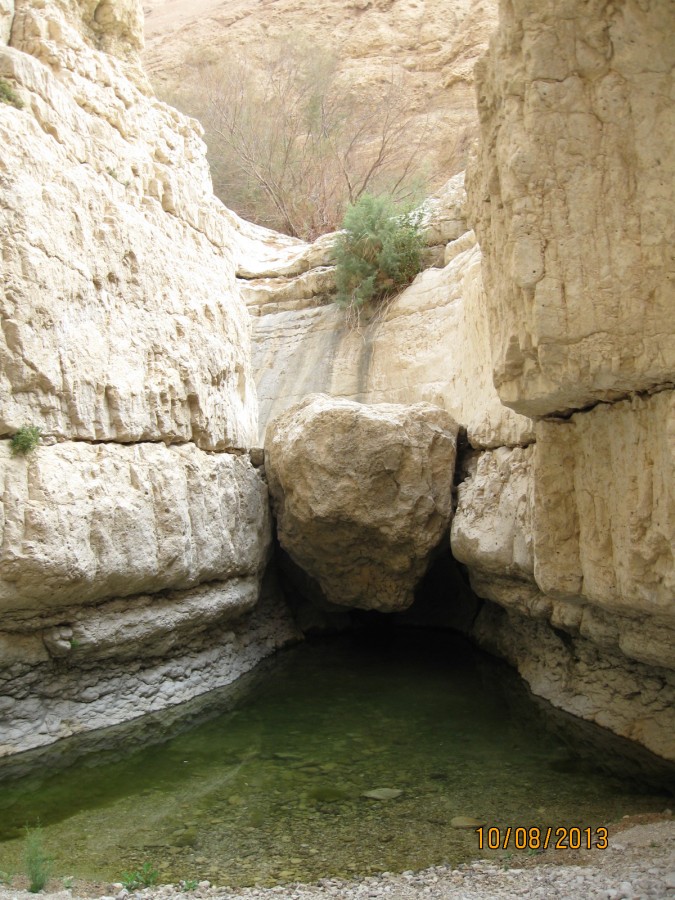 https://ic.pics.livejournal.com/cosmomarmots/76512026/198793/198793_900.jpg