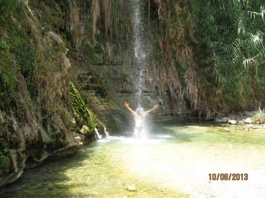 https://ic.pics.livejournal.com/cosmomarmots/76512026/199686/199686_900.jpg