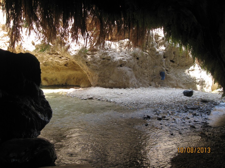 https://ic.pics.livejournal.com/cosmomarmots/76512026/200306/200306_900.jpg