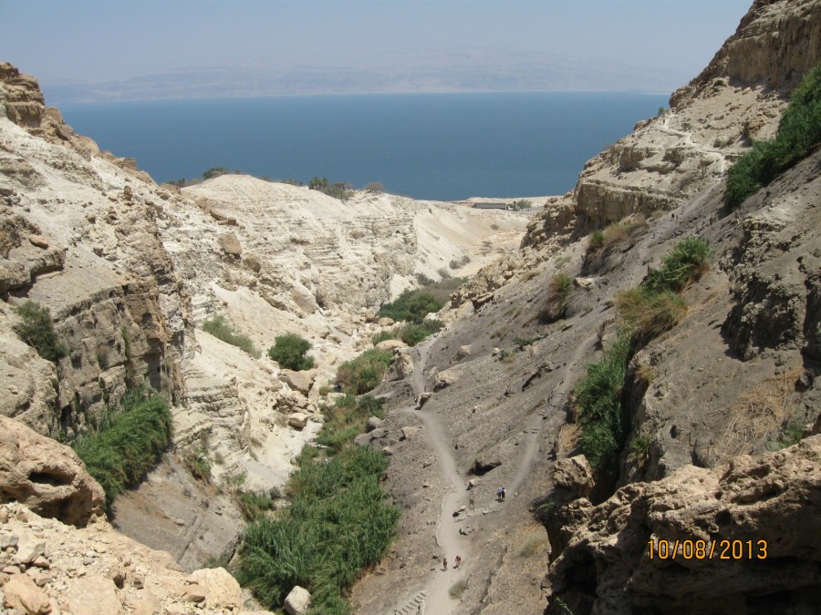 https://ic.pics.livejournal.com/cosmomarmots/76512026/200945/200945_900.jpg