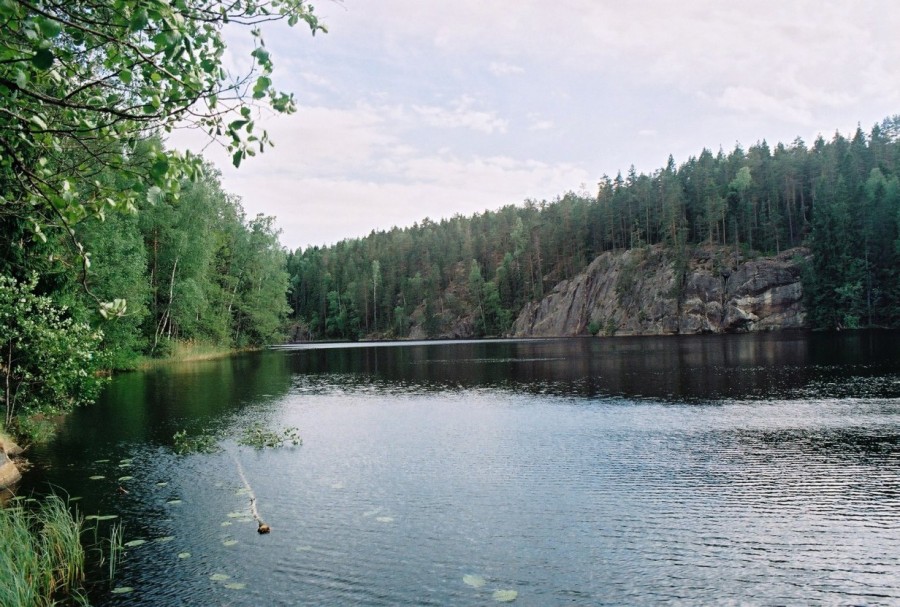 https://ic.pics.livejournal.com/cosmomarmots/76512026/808183/808183_900.jpg