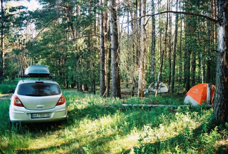 https://ic.pics.livejournal.com/cosmomarmots/76512026/808209/808209_900.jpg
