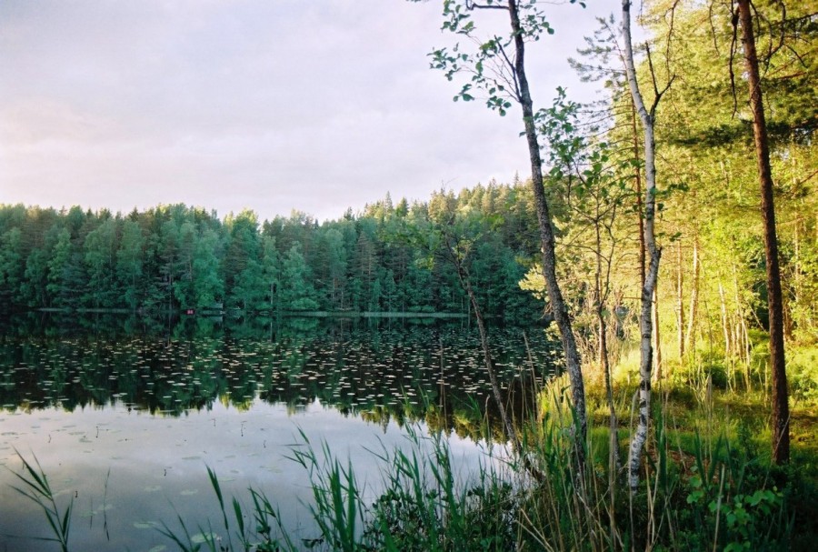 https://ic.pics.livejournal.com/cosmomarmots/76512026/813532/813532_900.jpg