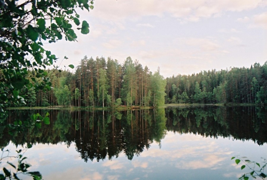 https://ic.pics.livejournal.com/cosmomarmots/76512026/813728/813728_900.jpg