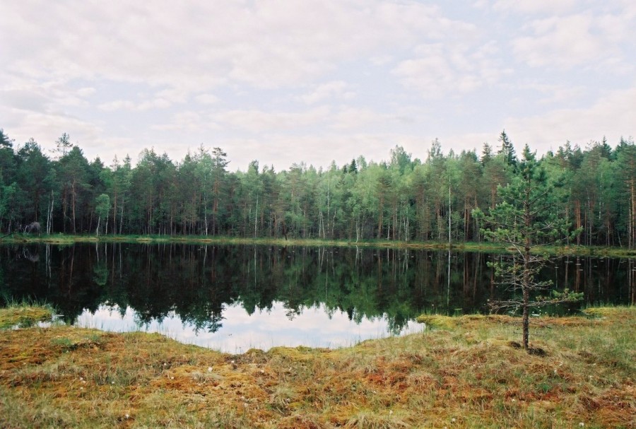 https://ic.pics.livejournal.com/cosmomarmots/76512026/813929/813929_900.jpg