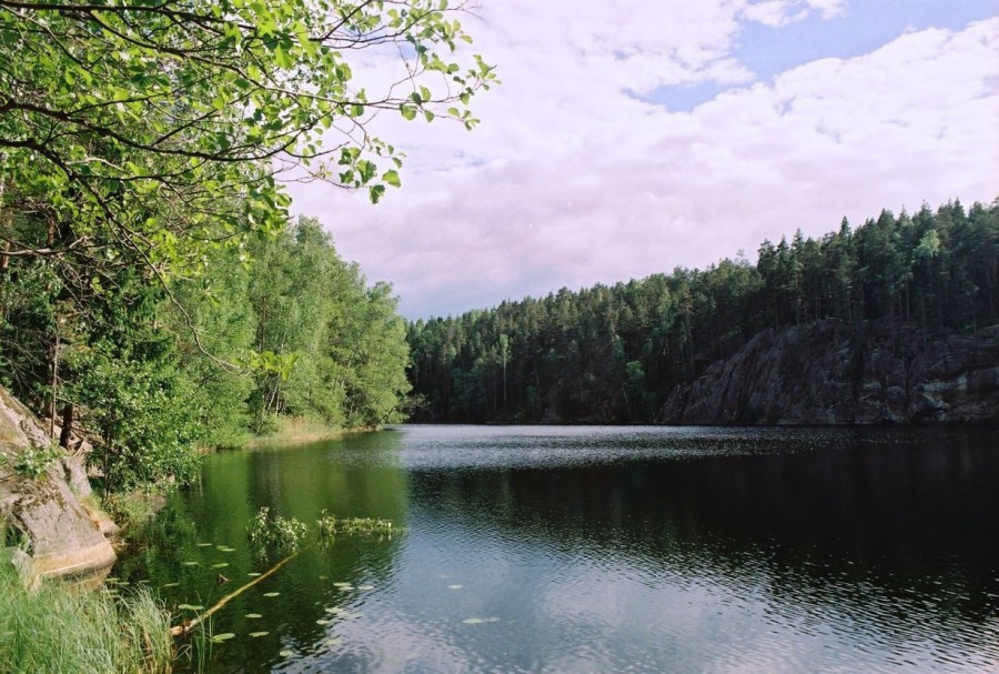 https://ic.pics.livejournal.com/cosmomarmots/76512026/814800/814800_900.jpg