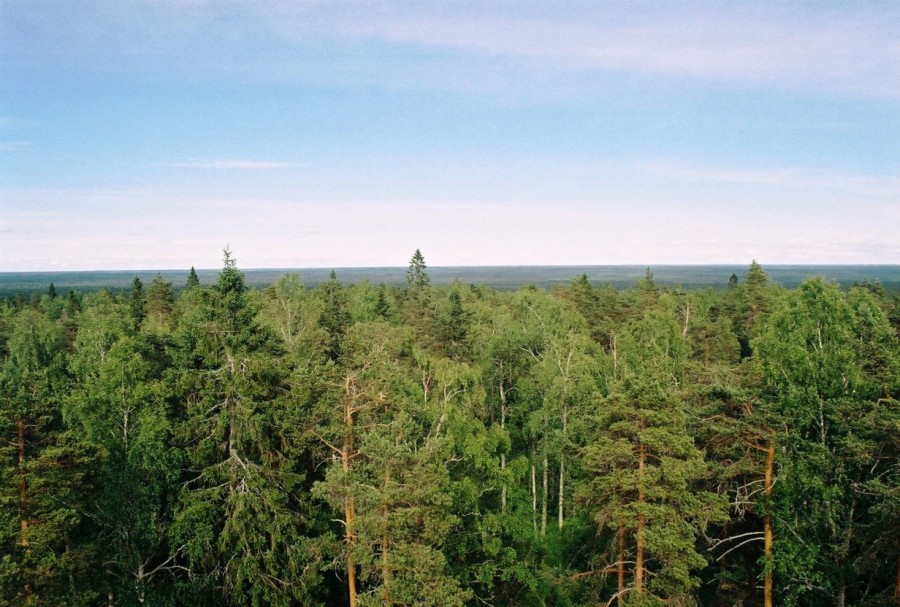 https://ic.pics.livejournal.com/cosmomarmots/76512026/816895/816895_900.jpg