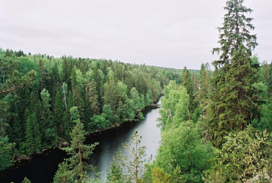 https://ic.pics.livejournal.com/cosmomarmots/76512026/819223/819223_900.jpg