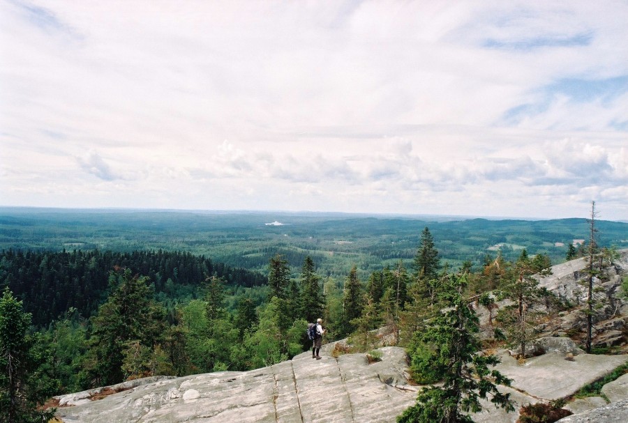 https://ic.pics.livejournal.com/cosmomarmots/76512026/825057/825057_900.jpg