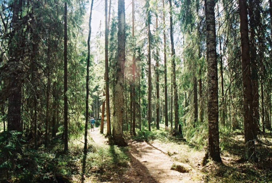 https://ic.pics.livejournal.com/cosmomarmots/76512026/825454/825454_900.jpg