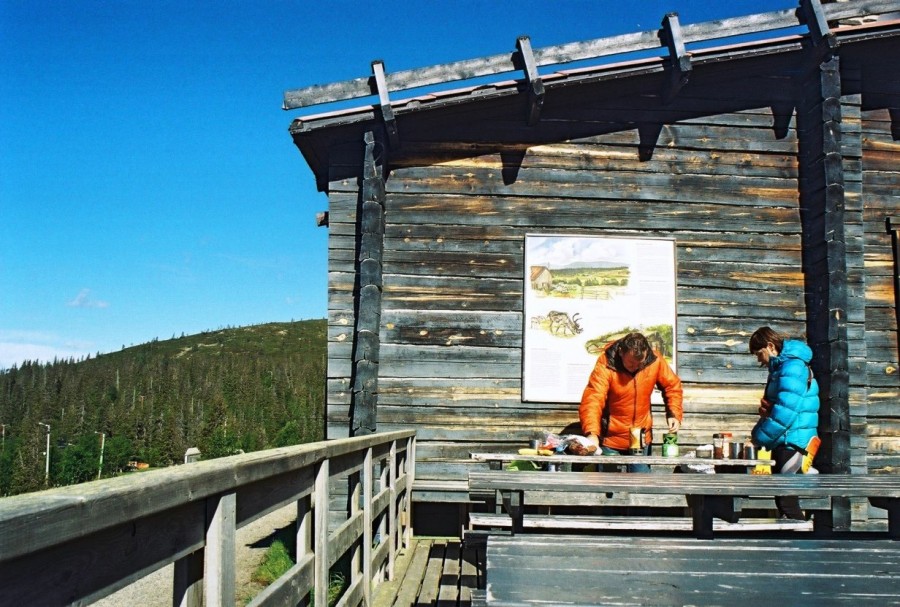 https://ic.pics.livejournal.com/cosmomarmots/76512026/829264/829264_900.jpg