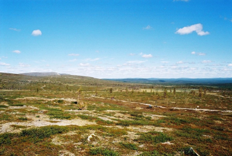 https://ic.pics.livejournal.com/cosmomarmots/76512026/831244/831244_900.jpg