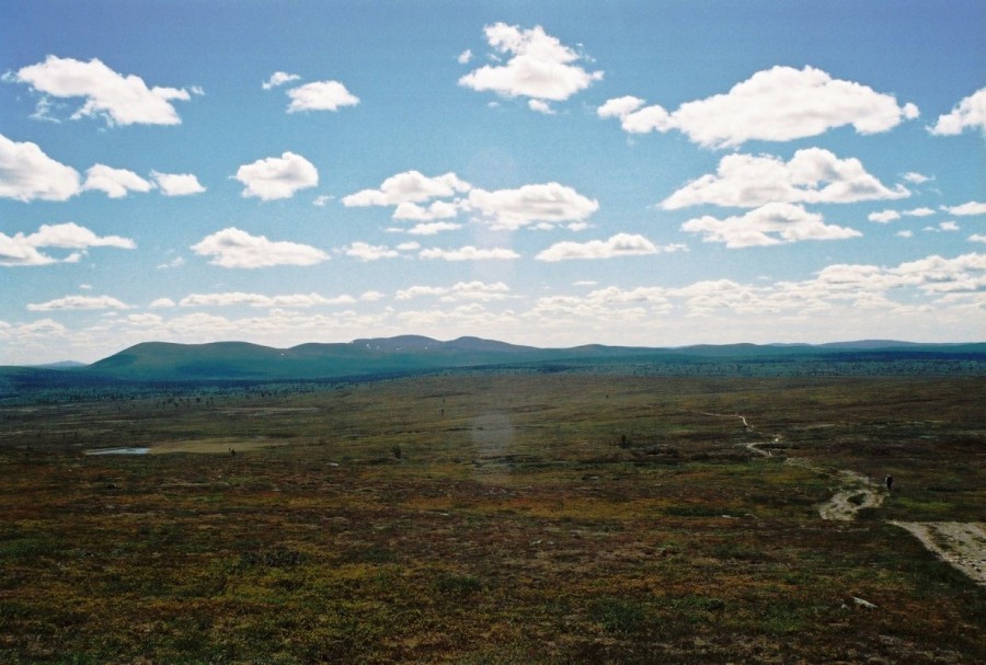 https://ic.pics.livejournal.com/cosmomarmots/76512026/832256/832256_900.jpg