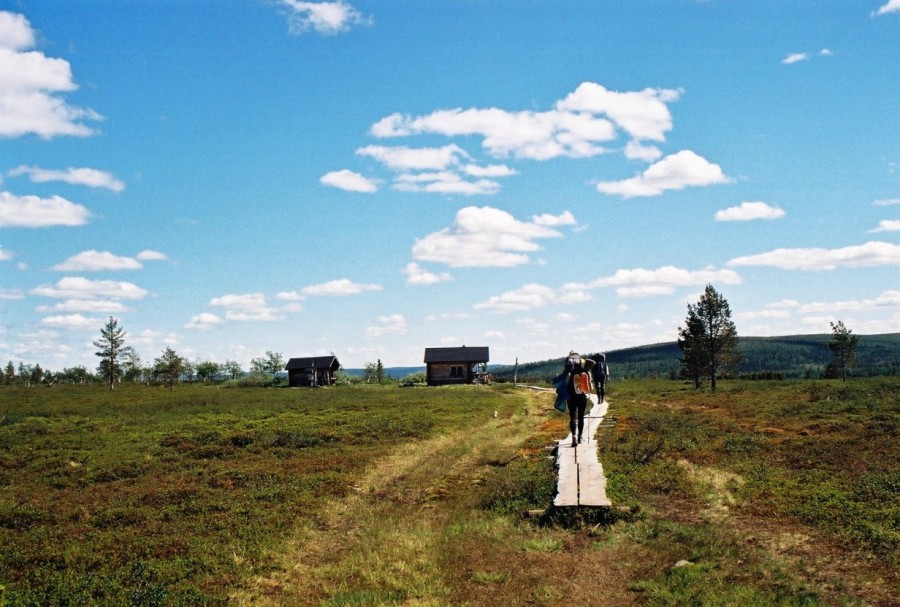 https://ic.pics.livejournal.com/cosmomarmots/76512026/833716/833716_900.jpg