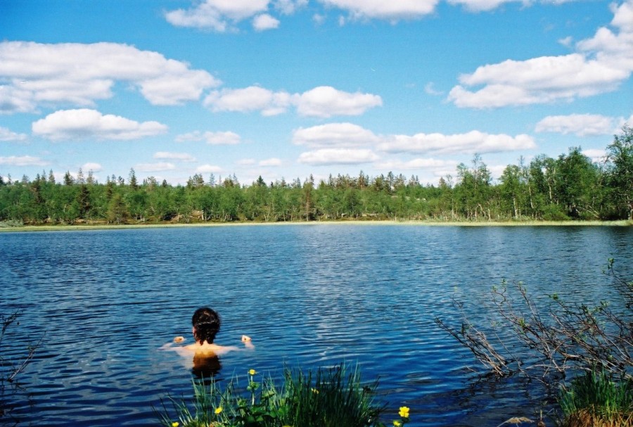 https://ic.pics.livejournal.com/cosmomarmots/76512026/834373/834373_900.jpg