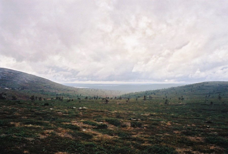 https://ic.pics.livejournal.com/cosmomarmots/76512026/835417/835417_900.jpg