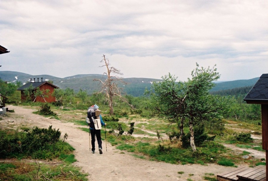 https://ic.pics.livejournal.com/cosmomarmots/76512026/835666/835666_900.jpg