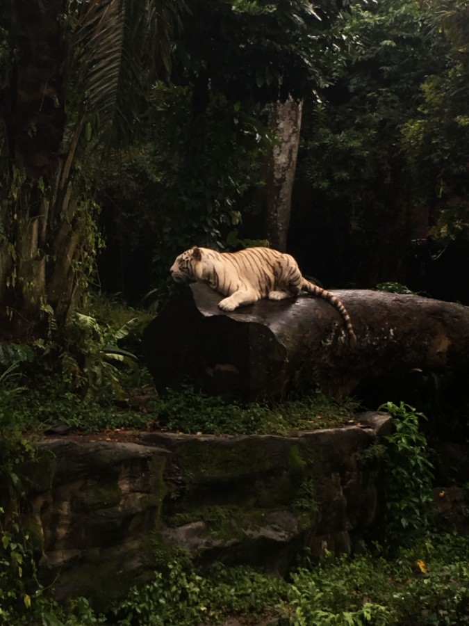 https://ic.pics.livejournal.com/cosmomarmots/76512026/881303/881303_900.jpg