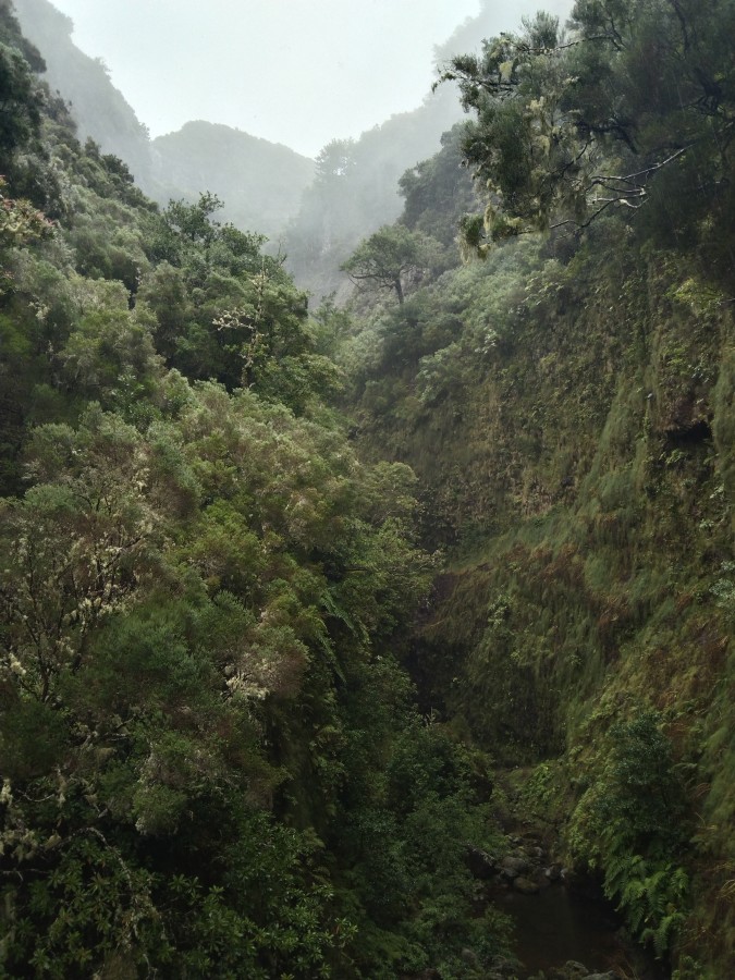 https://ic.pics.livejournal.com/cosmomarmots/76512026/1136419/1136419_900.jpg