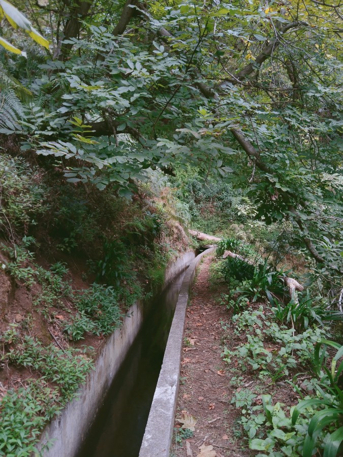 https://ic.pics.livejournal.com/cosmomarmots/76512026/1147618/1147618_900.jpg