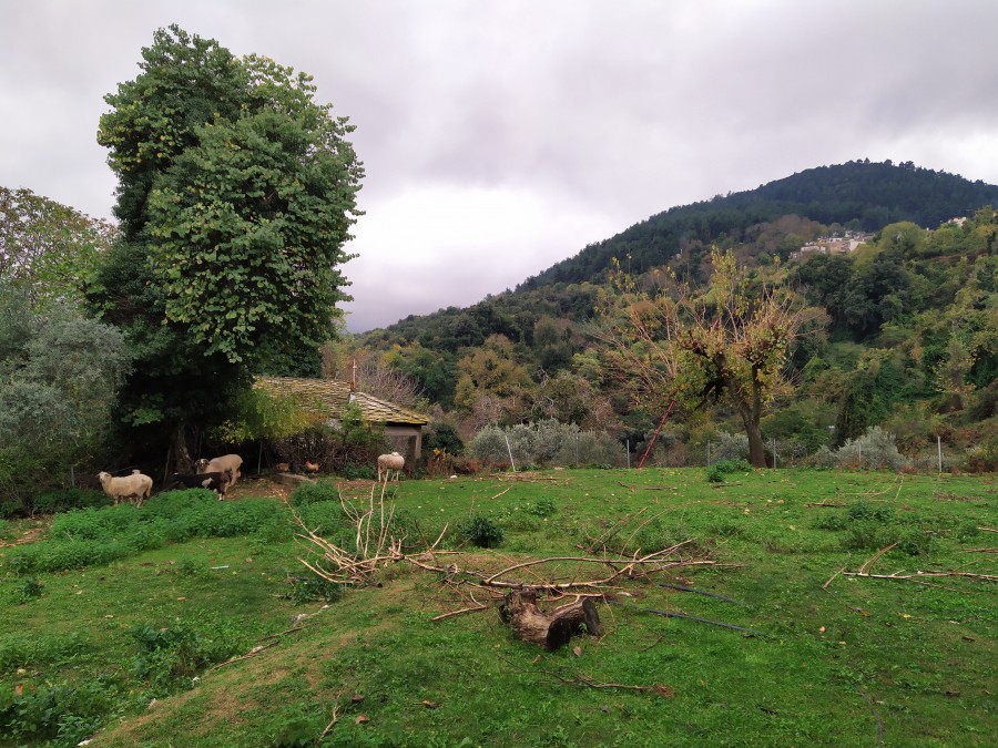 https://ic.pics.livejournal.com/cosmomarmots/76512026/1020084/1020084_900.jpg