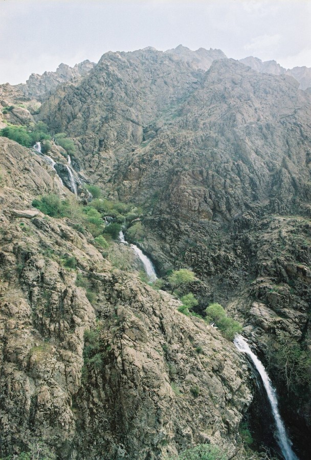 https://ic.pics.livejournal.com/cosmomarmots/76512026/250266/250266_900.jpg
