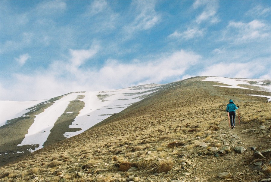 https://ic.pics.livejournal.com/cosmomarmots/76512026/252225/252225_900.jpg