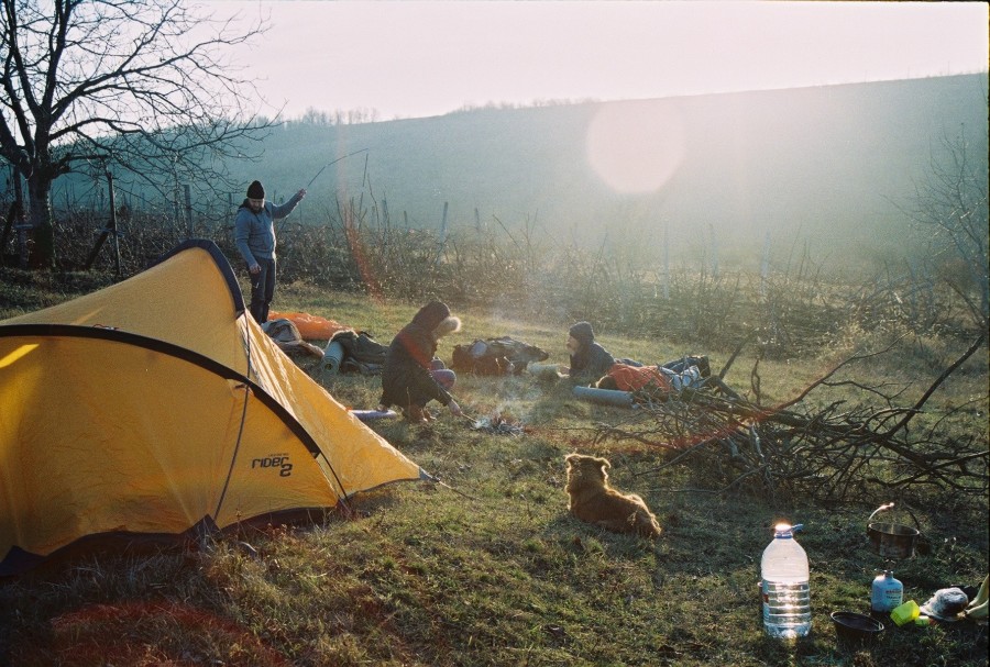 https://ic.pics.livejournal.com/cosmomarmots/76512026/8956/8956_900.jpg