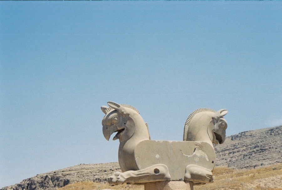 https://ic.pics.livejournal.com/cosmomarmots/76512026/273685/273685_900.jpg