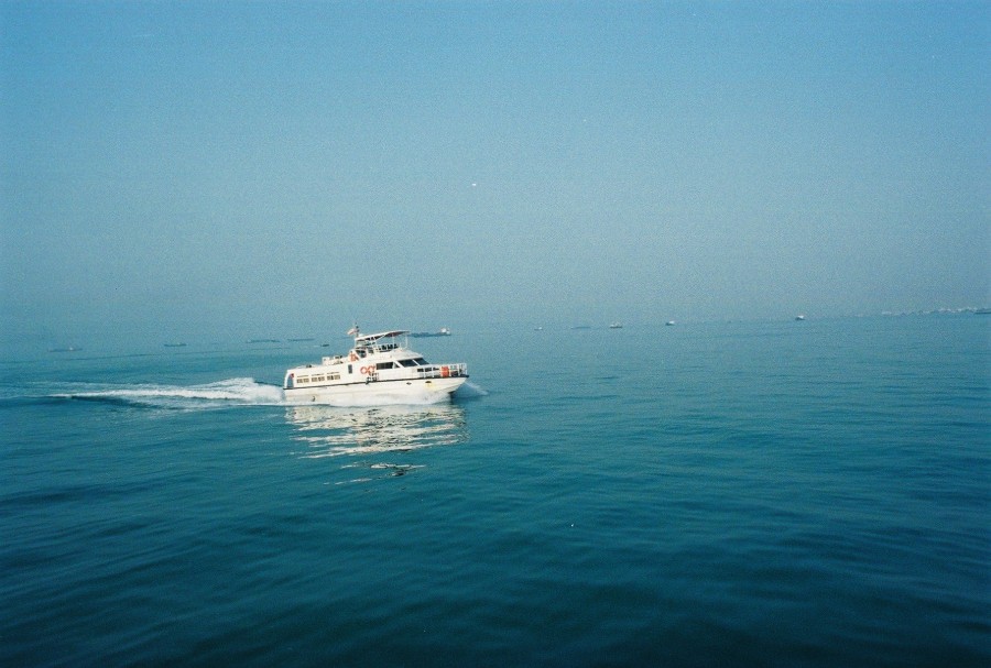 https://ic.pics.livejournal.com/cosmomarmots/76512026/274753/274753_900.jpg
