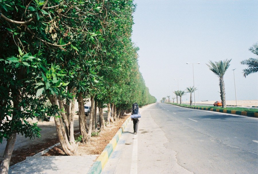 https://ic.pics.livejournal.com/cosmomarmots/76512026/275181/275181_900.jpg