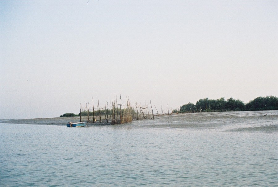 https://ic.pics.livejournal.com/cosmomarmots/76512026/277993/277993_900.jpg
